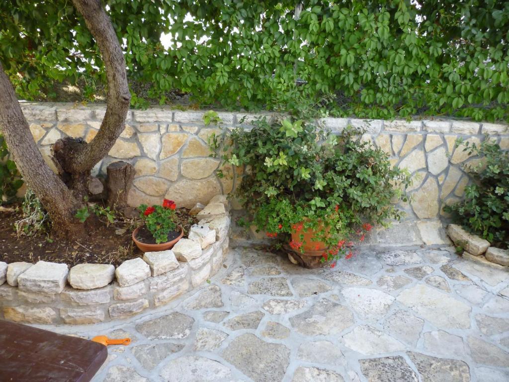 Apartments Pralija Жаборич Екстериор снимка